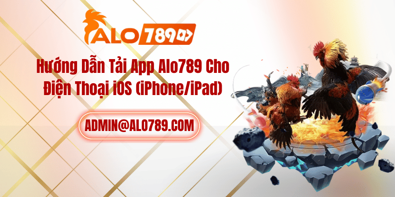 Hướng Dẫn Tải App ALO789 Cho Điện Thoại Android (APK)