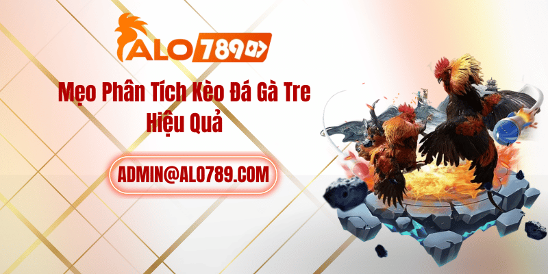 Mẹo Phân Tích Kèo Đá Gà Tre Hiệu Quả